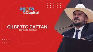 Gilberto Cattani 2024