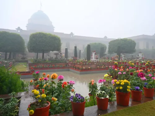 Annuals