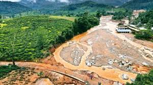 wayanad latest