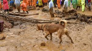 kerala latest