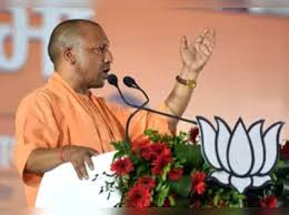 yogi government