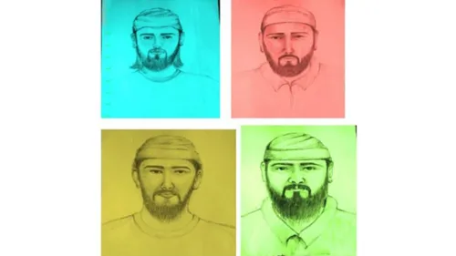 sketches
