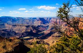 Grand Canyon2024