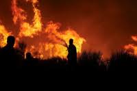 A ferocious wildfire