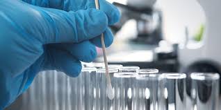 DNA investigation2024