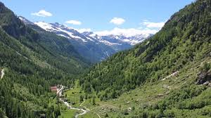 Walser Gottardo