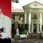 plot targeting Elvis