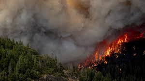 fire-ravaged