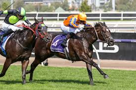 black caviar
