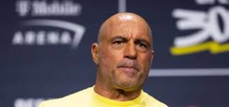 Joe Rogan ribs