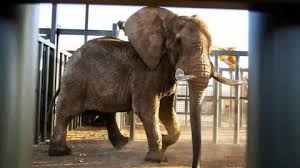 South African zoo