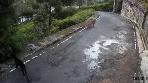 Coonoor