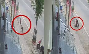 stray dog attack 2024
