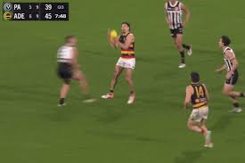 carlton