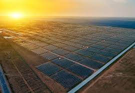 solar farm 2024