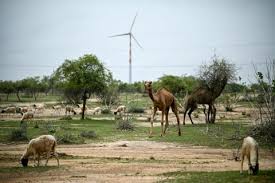 India’s green energy wind drive hits desert herders hard Braking news 2024