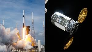 Cygnus
