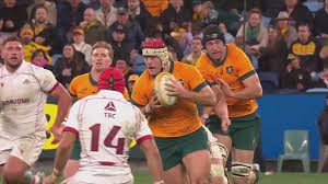 Springboks