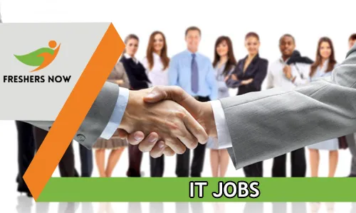 IT freshers take highest salary, manufacturing industry hiring spikes freshers