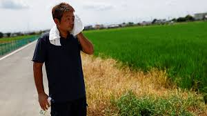 heat stroke symptoms