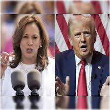 Opinion: Trump or Harris? Vote in our election poll and tell us who you think should win.