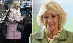 Queen Camilla suffering from chest infection, forced to call off engagements, palace says