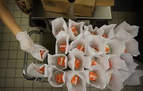 Listeria Bacteria
