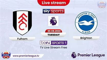 Fulham vs Brighton LIVE! Premier League team news, updates, match commentary, score and report 2024 best