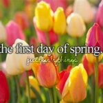 Spring Arrives