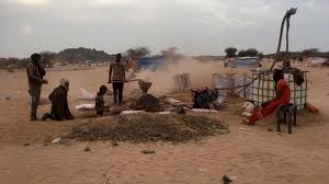 Mali suspends