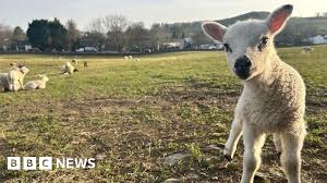 Dog owners urged