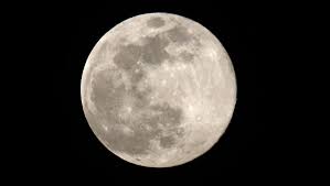 FLOWER MOON